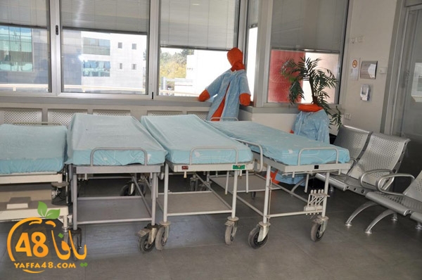 tamren asaf harof3e (3).jpg